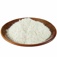 Dehydrated White Onion Powder for Free Sample